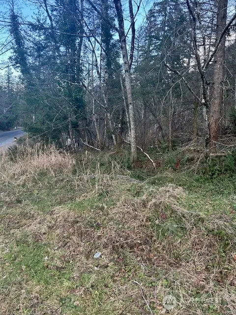 0 SE 166th Street, North Bend, WA 98045 - Image #3