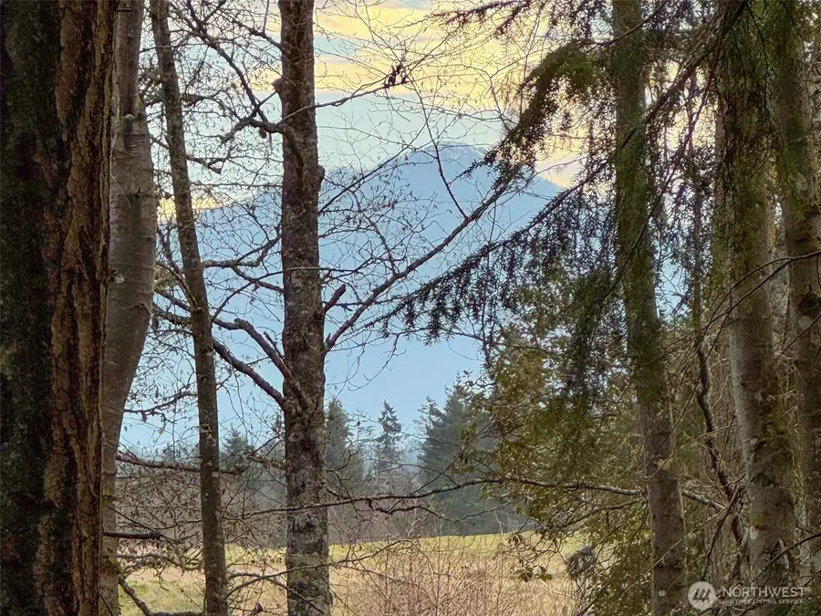 805 Lemmon Road, Port Angeles, WA 98362 - Image #2