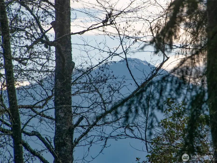 805 Lemmon Road, Port Angeles, WA 98362 - Image #3