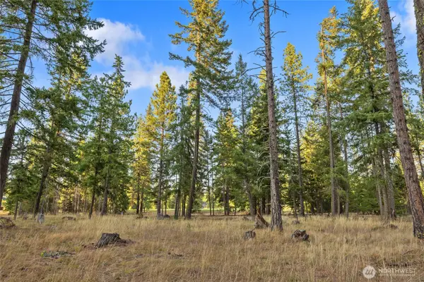 32 Domerie Park Loop #17-32, Cle Elum, WA 98922