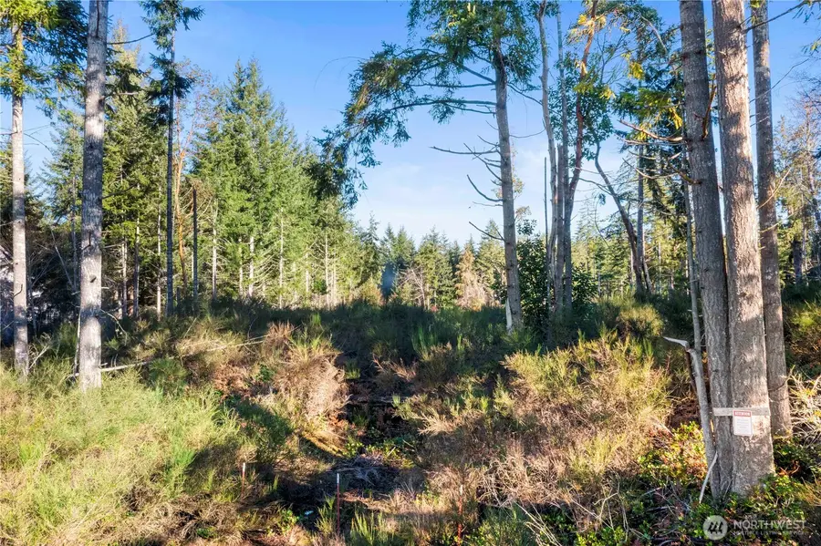 0 E Harstine Island Road S, Shelton, WA 98584 - Image #2