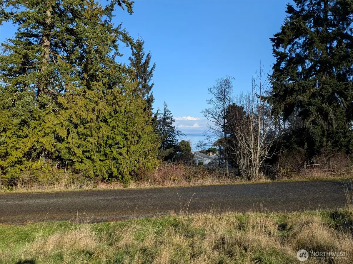 173 Island Vista Way, Port Angeles, WA 98362 - Image #1