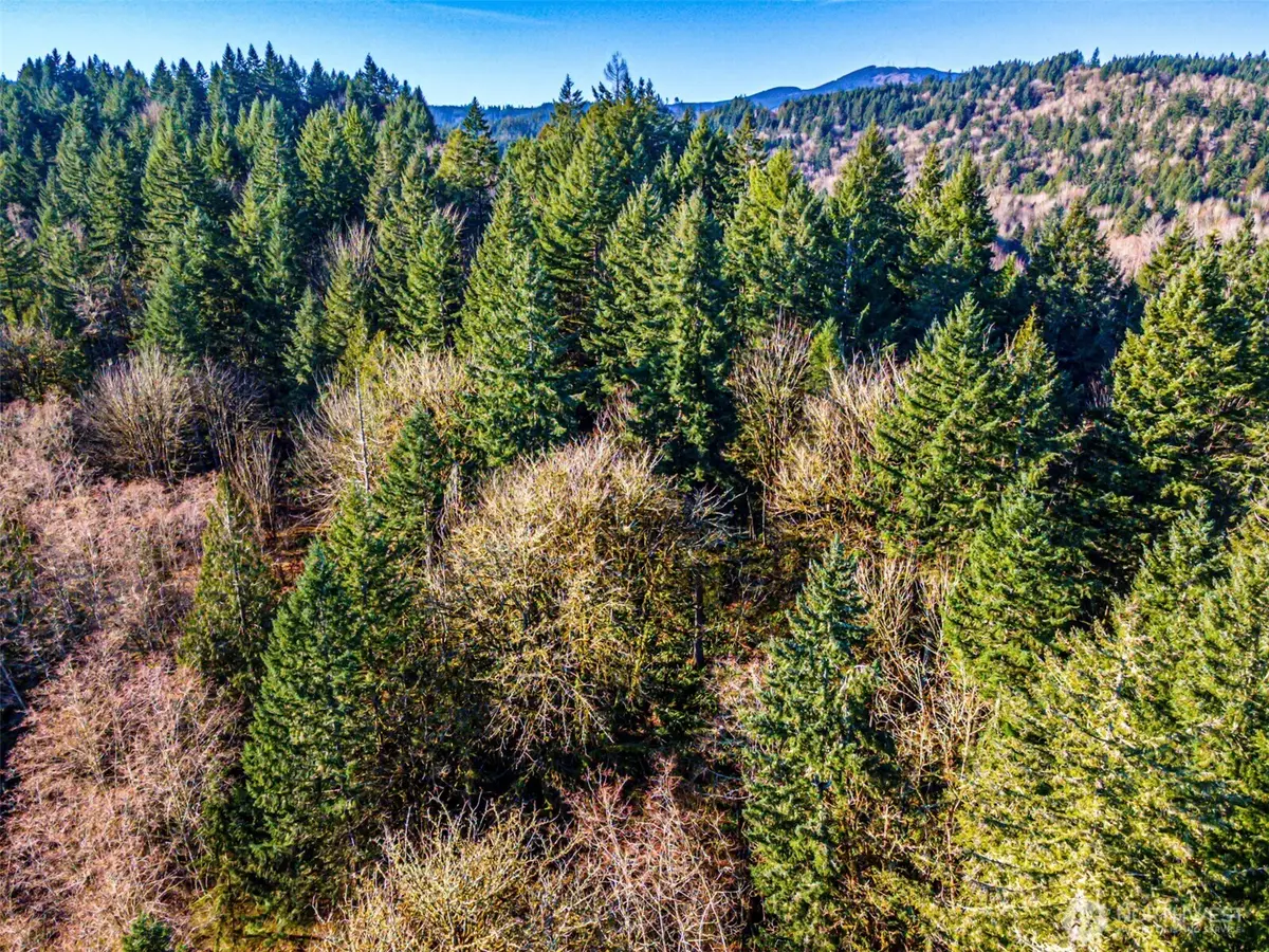 0 Dempsey Lane Sw, Olympia, WA 98512 - Image #1