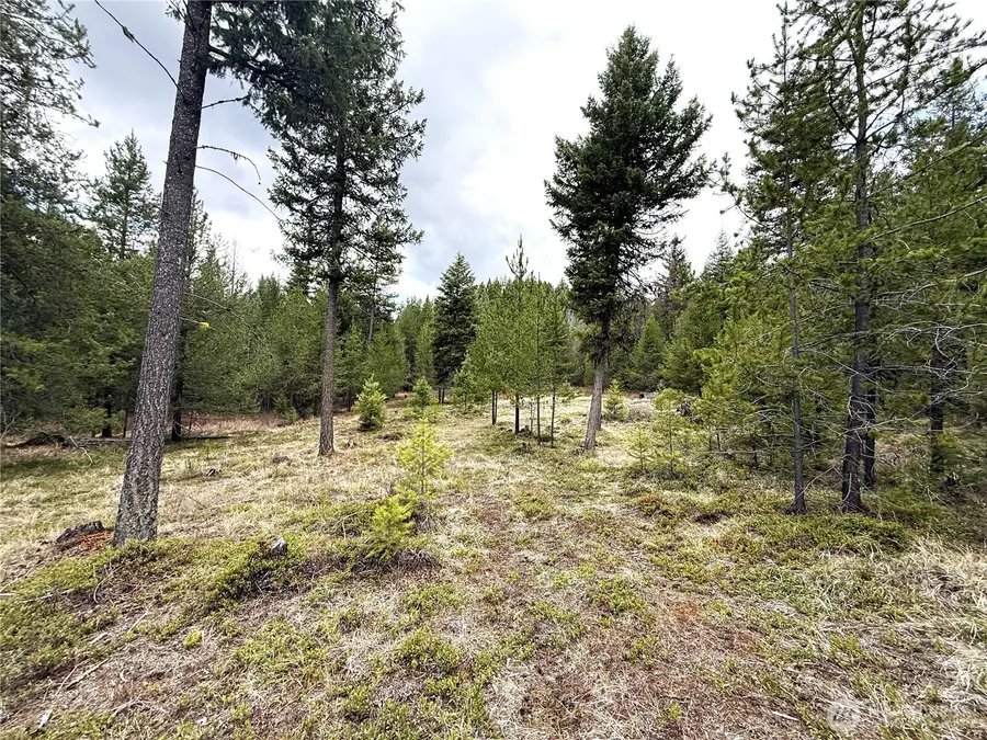 7 Hazel Lane, Republic, WA 99166 - #2