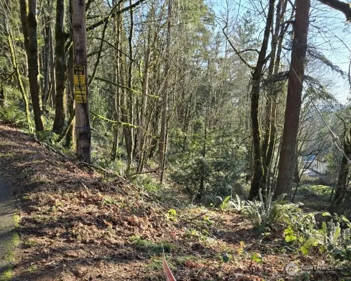 1217 218th Avenue Ne, Sammamish, WA 98074 - Image #1