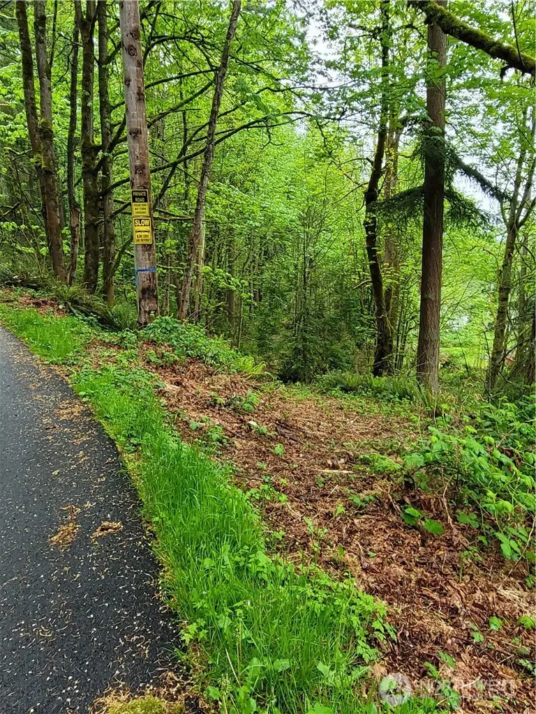 1217 218th Avenue Ne, Sammamish, WA 98074 - Image #2