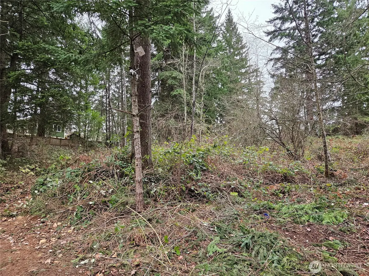 19100 106th Street Ct E, Bonney Lake, WA 98391 - Image #1