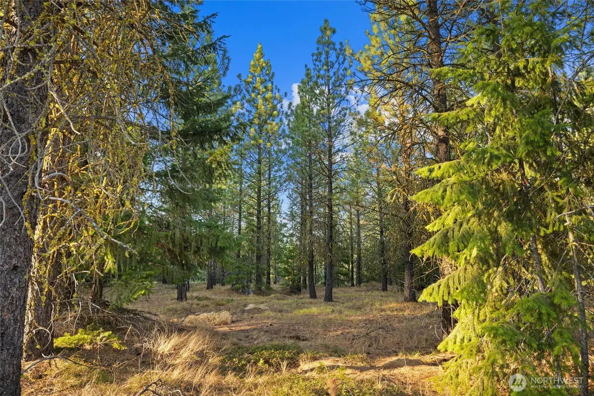 131 Gold Leaf Lane #3-26-20, Cle Elum, WA 98922 - Image #1