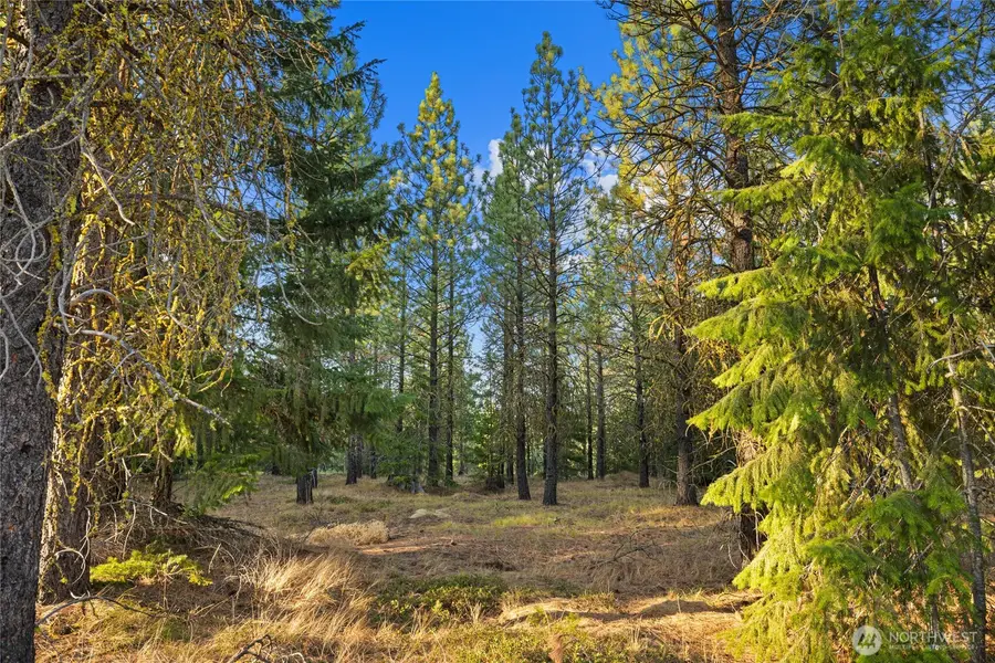 131 Gold Leaf Lane #3-26-20, Cle Elum, WA 98922 - Image #3