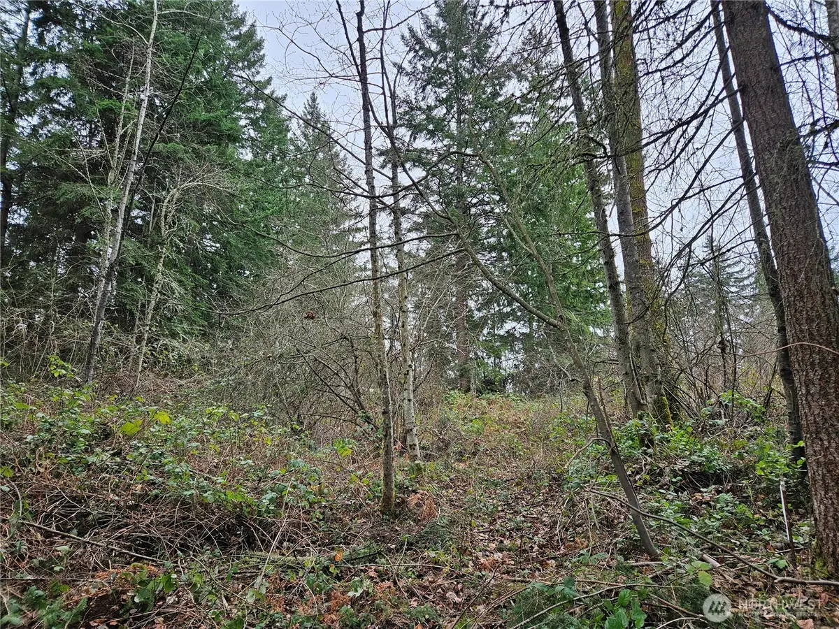 19101 106th Street Ct E, Bonney Lake, WA 98391 - Image #1