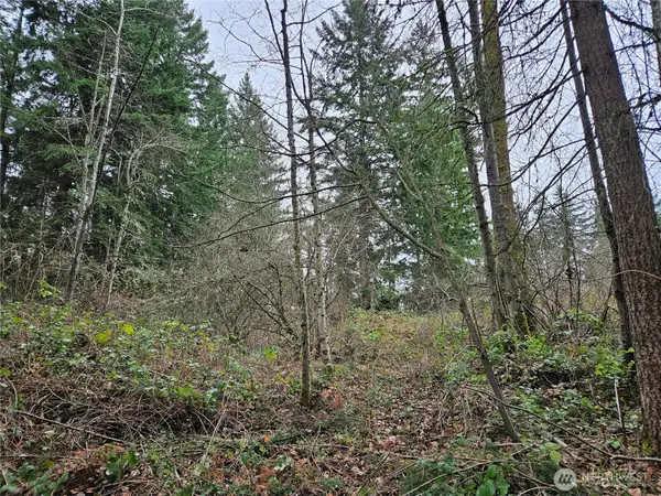 19101 106th Street Ct E, Bonney Lake, WA 98391