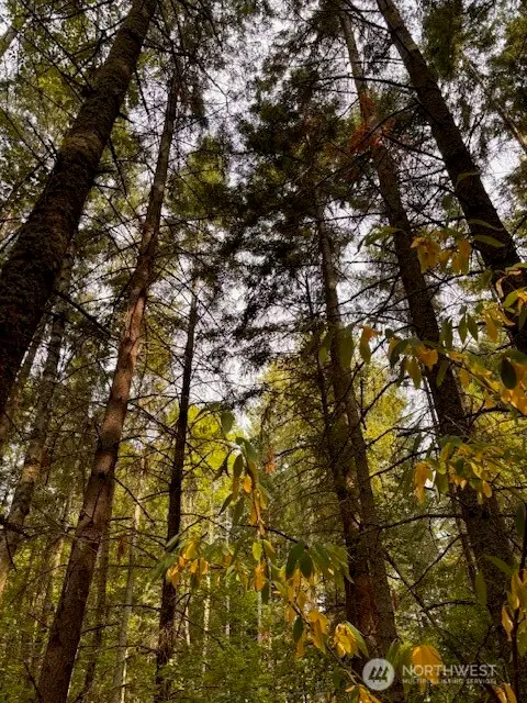 0 Chuckawa Lane Sw, Yelm, WA 98597 - #1