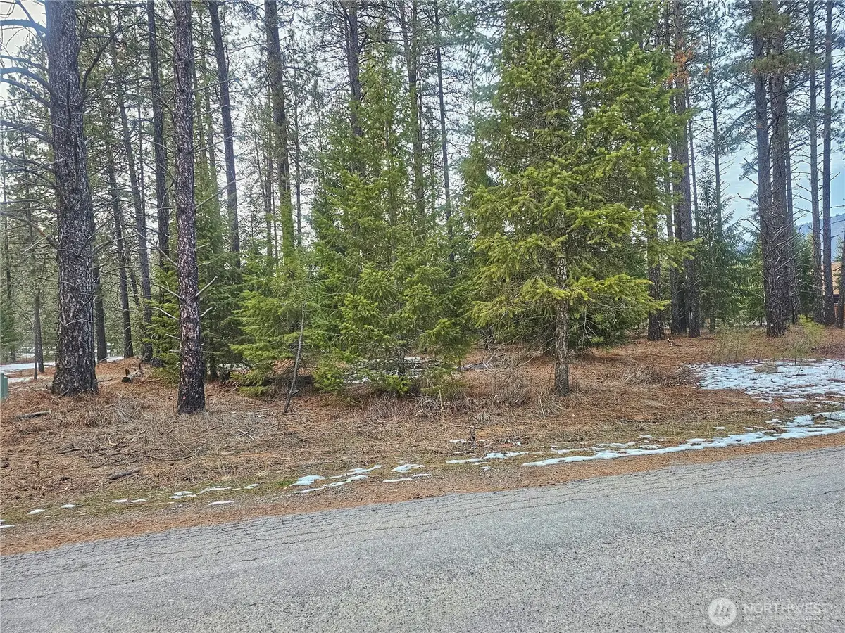 270 Eagle Dr, Chewelah, WA 99109 - #1