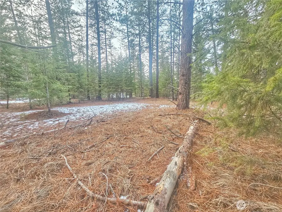 270 Eagle Dr, Chewelah, WA 99109 - #3