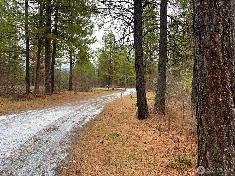 4396 Northport Flat Creek Road, Northport, WA 99157 - #3