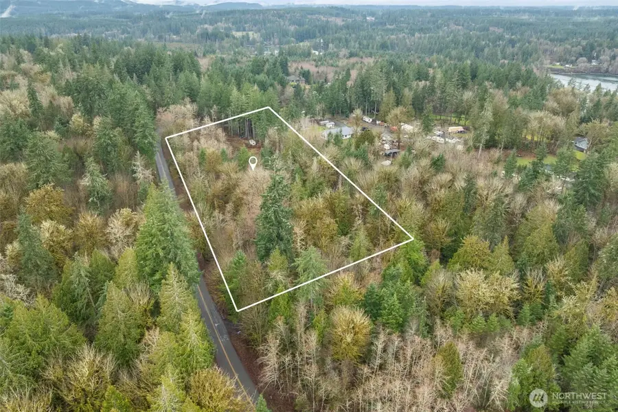 60 SE Mable Taylor Ln, Shelton, WA 98584 - Image #3