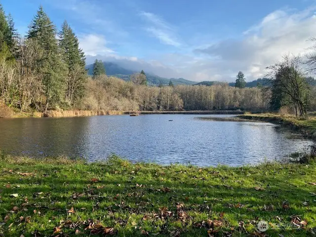 302 Monroe Street, Ryderwood, WA 98581 - #3