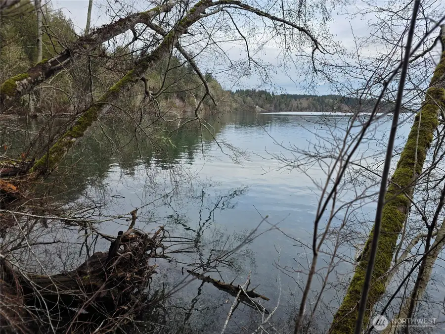 691 E Harstine Heights Lane #TR M-2 Survey 1/241, Shelton, WA 98584 - Image #2