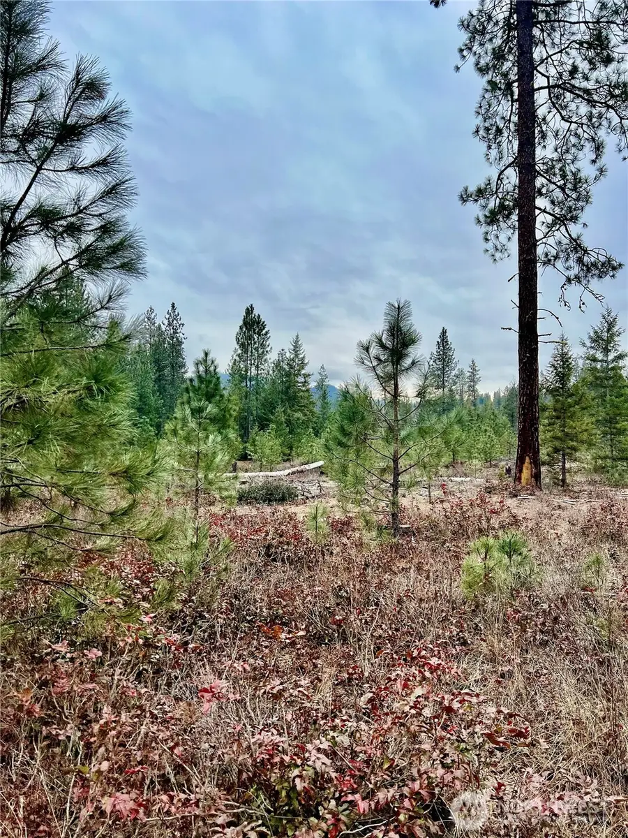 0 Hwy 25 N, Northport, WA 99157 - #3