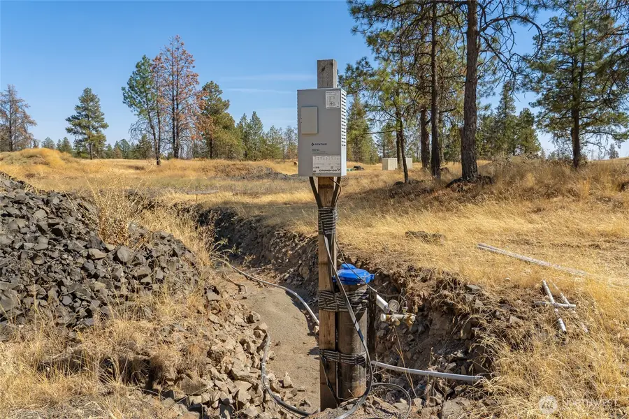 36321 S Bootstrap Ln, Cheney, WA 99004 - #3