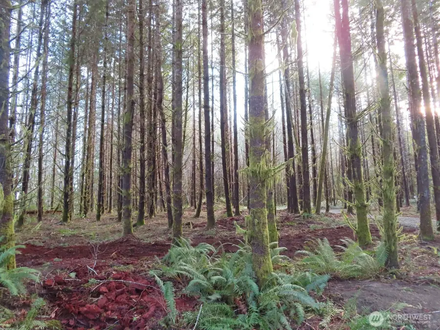 2431 N River Road, Cosmopolis, WA 98537 - #2