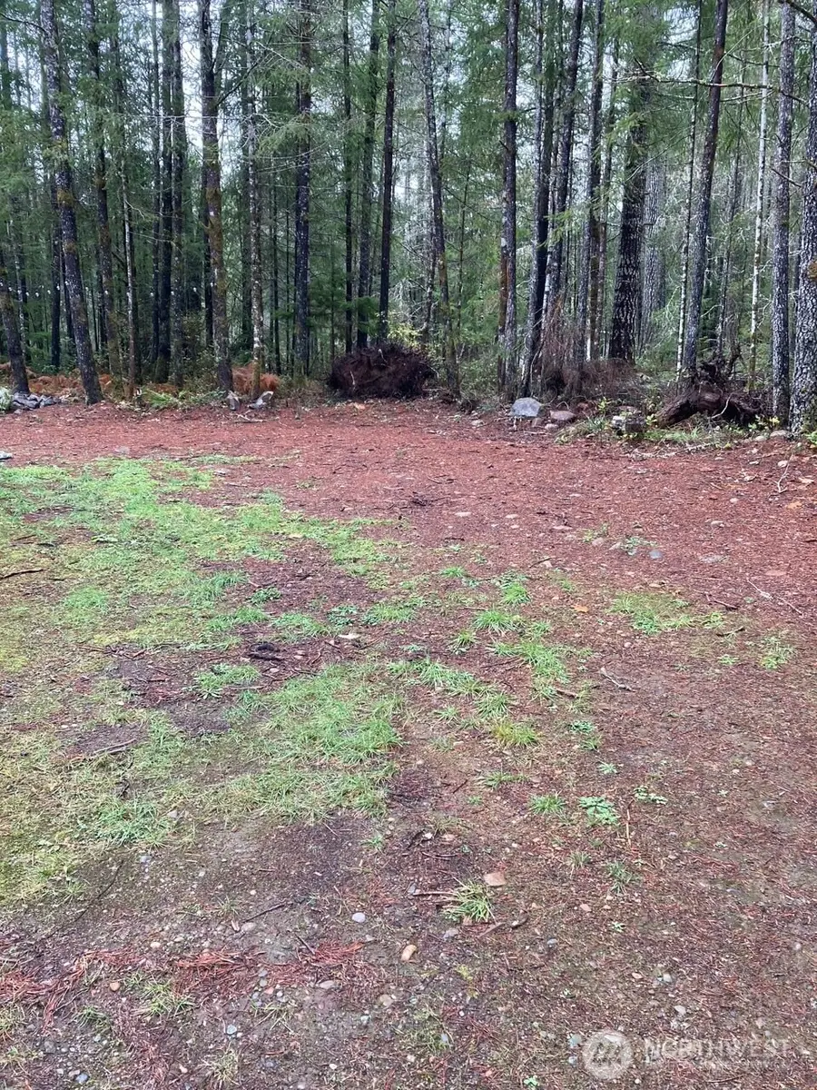 10 N Tyee Place #155, Hoodsport, WA 98548 - #3