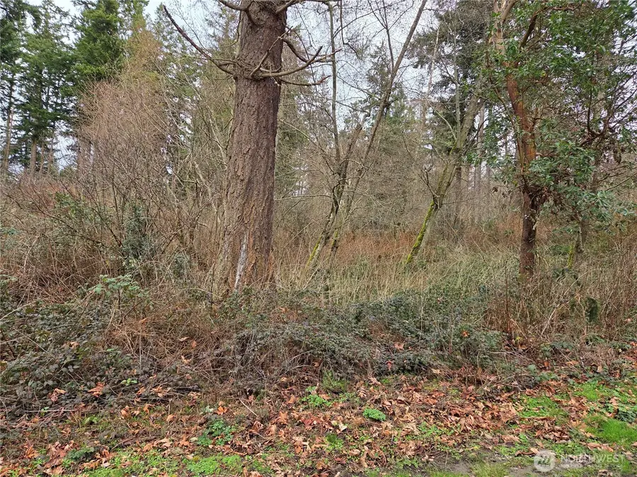 103 Whidbey Island Drive #B-103, Hat Island, WA 98206 - #3