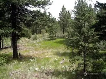 0 Mule Deer Road, Waterville, WA 98858 - #1