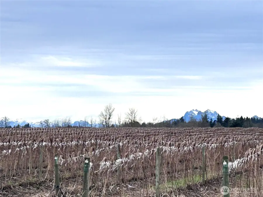 17 Hampton Road #2, Everson, WA 98247 - #3