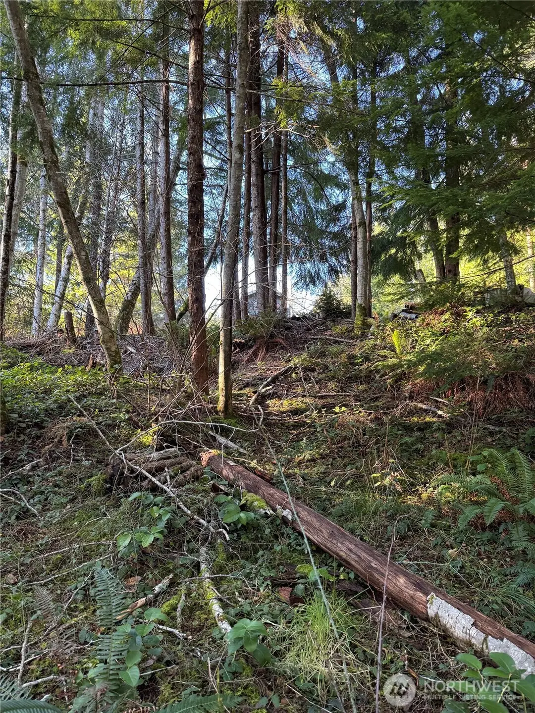 0 NE Lake Christine Road #3, Tahuya, WA 98588 - #1