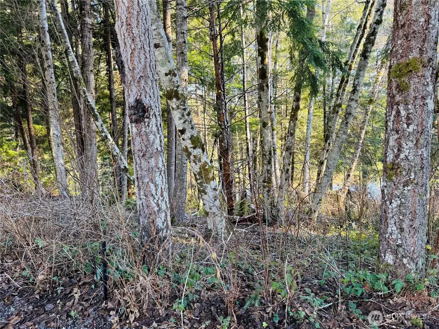 0 NE Lake Christine Road #3, Tahuya, WA 98588 - #2