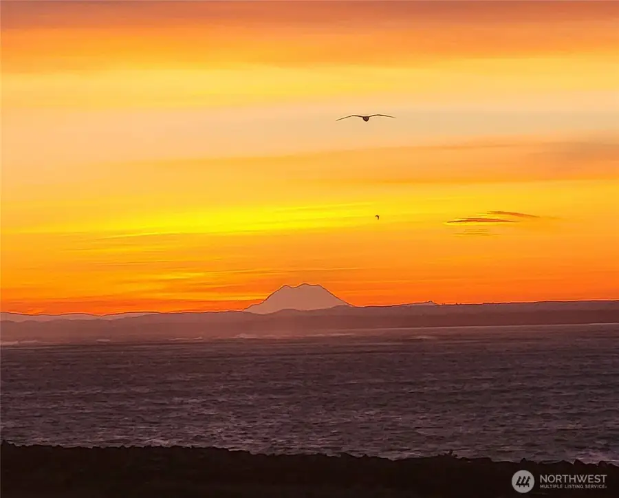 401 Westport View Street Sw #502, Ocean Shores, WA 98569 - #2