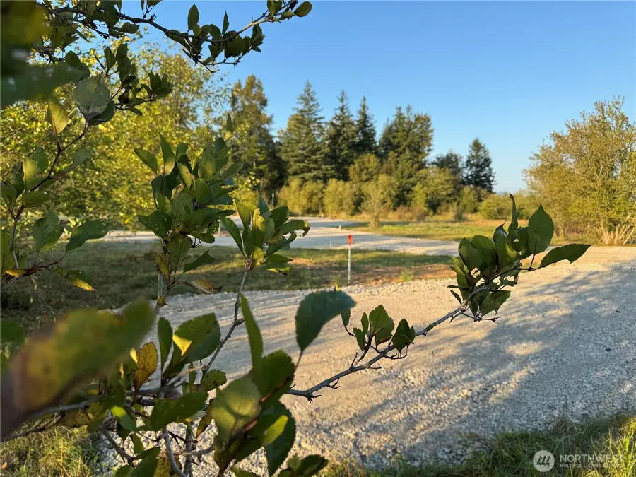 3580 Arnie Road, Custer, WA 98240 - #3