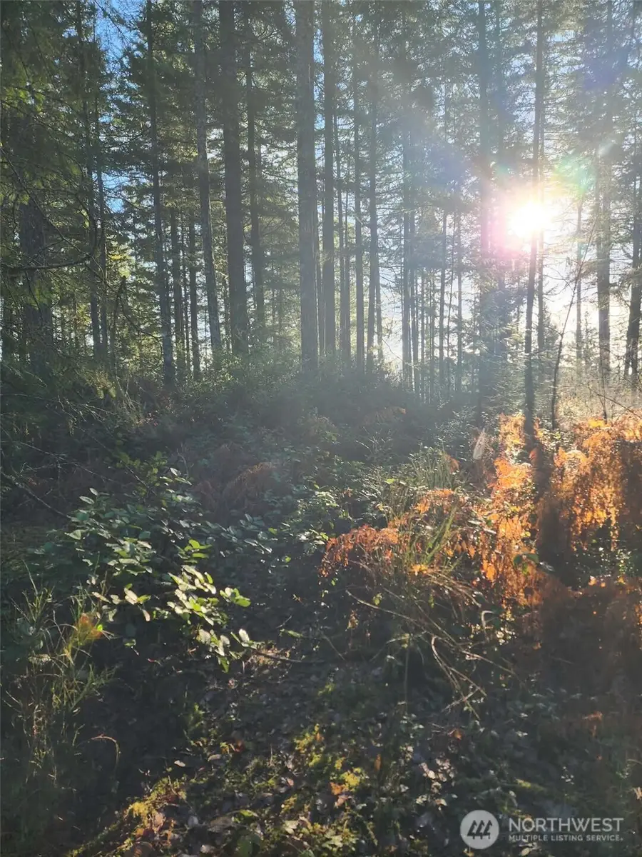 91 E Tepee Lane, Belfair, WA 98528 - #2