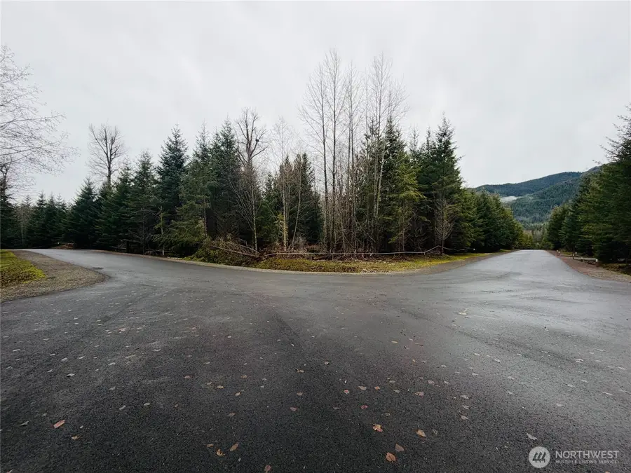 11856 Elk Trails Drive E #4, Greenwater, WA 98022 - #2