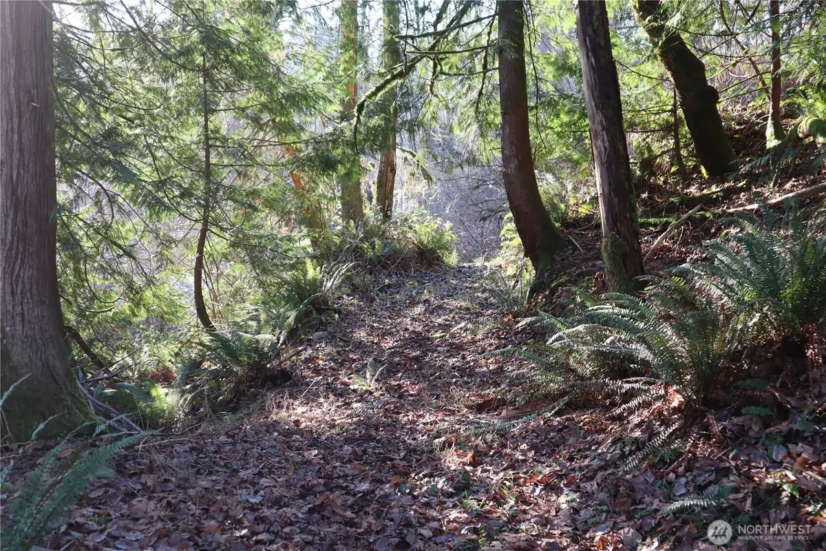 239 SE 238th Street, Maple Valley, WA 98038 - #1