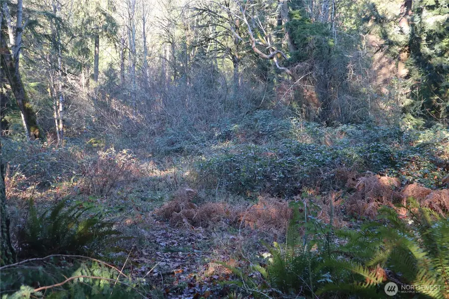 239 SE 238th Street, Maple Valley, WA 98038 - #3