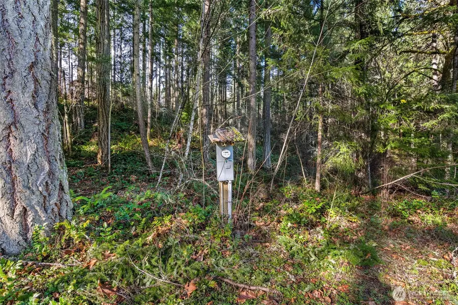 17820 Pondside Court #19, Yelm, WA 98597 - #3