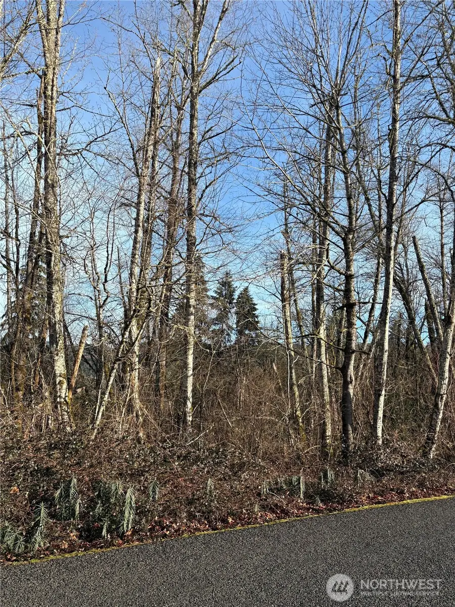 128 Valley View Drive, Mossyrock, WA 98564 - #2