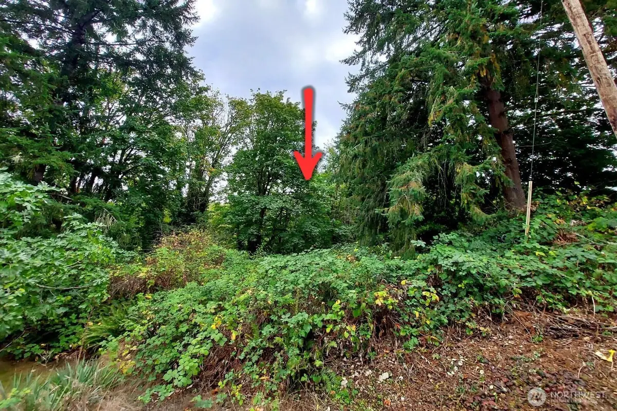 0 Lot C Melcher St #Lot C, Port Orchard, WA 98366 - #1