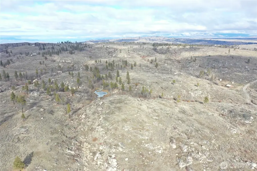 372 Cameron Lake Loop Road #3226162002, Okanogan, WA 98840 - #3