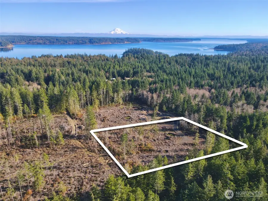 260 E Solbakk Veien Road #Tract A, Shelton, WA 98584 - #2