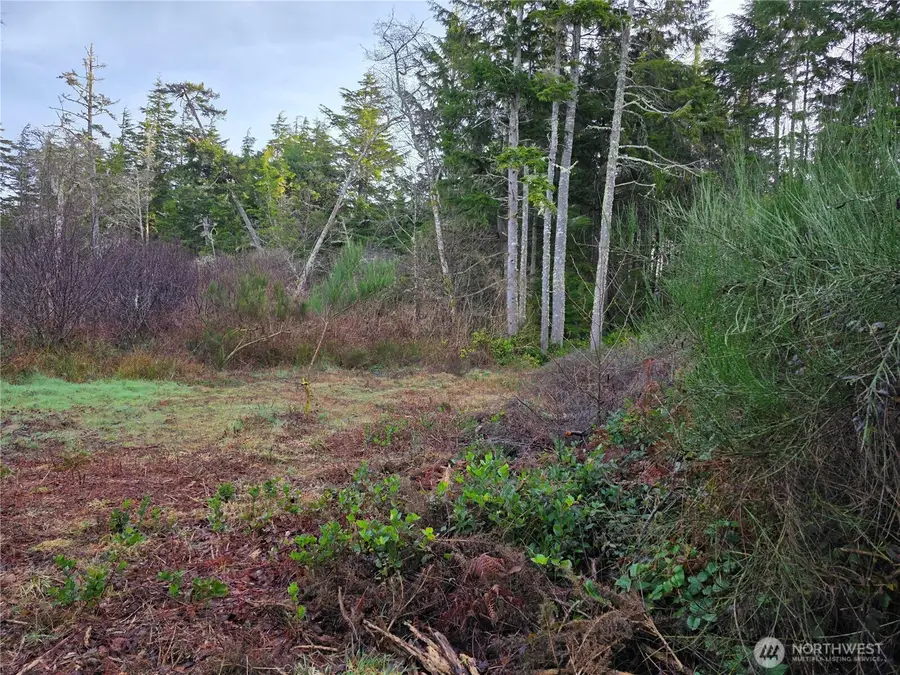 3011 202nd Street #3, Ocean Park, WA 98640 - #3