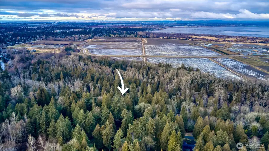 25 Roosevelt Road #25, Point Roberts, WA 98281 - #2