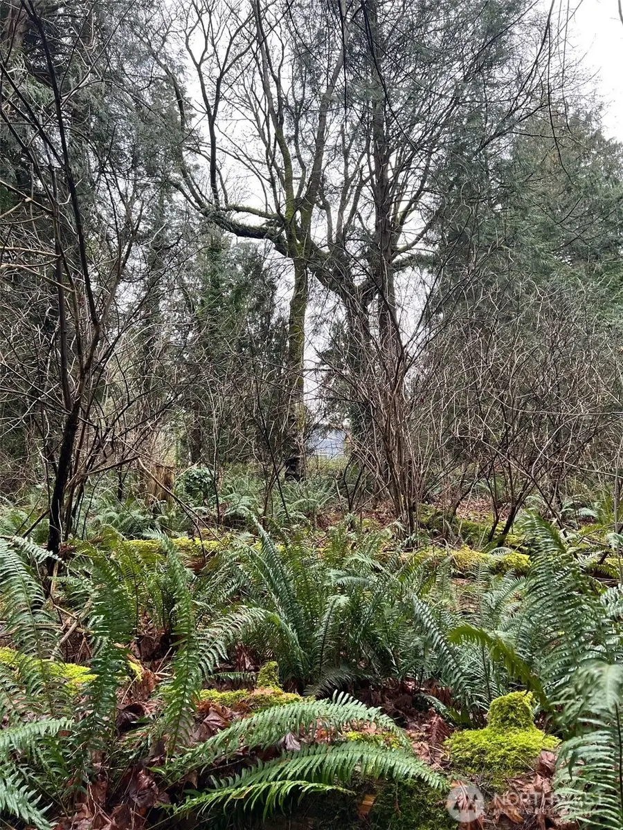 25 Roosevelt Road #25, Point Roberts, WA 98281 - #3