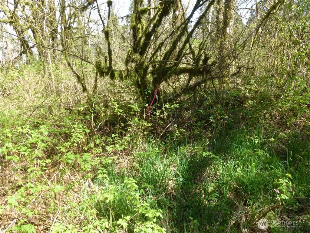 16020 NE Bel-red Road, Bellevue, WA 98005 - #1