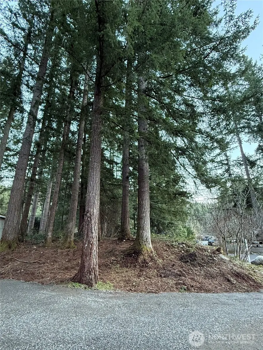 44726 SE 146th St Street, North Bend, WA 98045 - #3