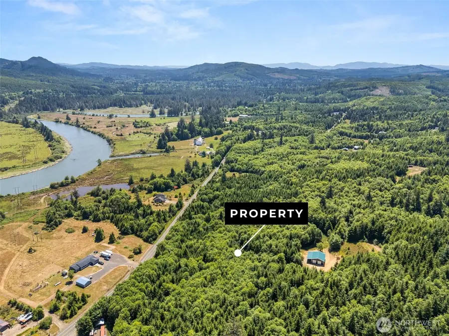 341 Parpala Road, Naselle, WA 98638 - #2