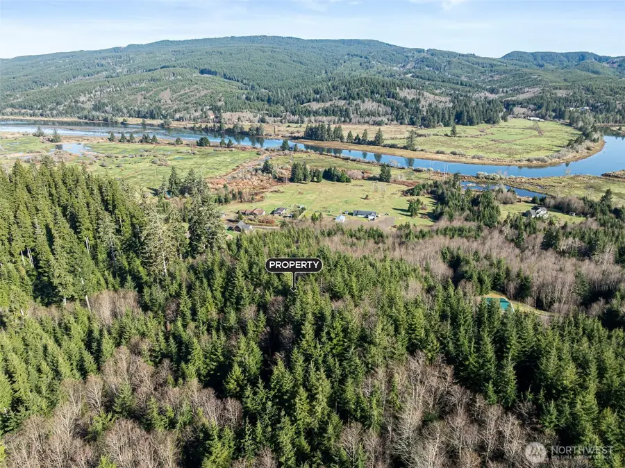 0 Parpala Road, Naselle, WA 98638 - #3