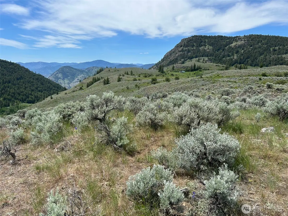 1 Tbd Ellemeham Mountain Road, Oroville, WA 98844 - #1